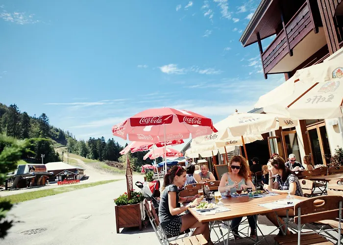 Aparthotel Les Grandes Feignes Labellemontagne La Bresse