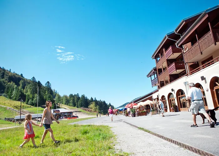 Les Grandes Feignes Labellemontagne La Bresse