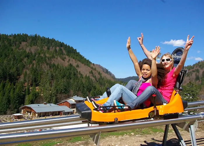 Les Grandes Feignes Labellemontagne La Bresse