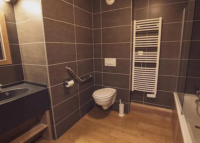 Appart hôtel Résidence Les Grandes Feignes