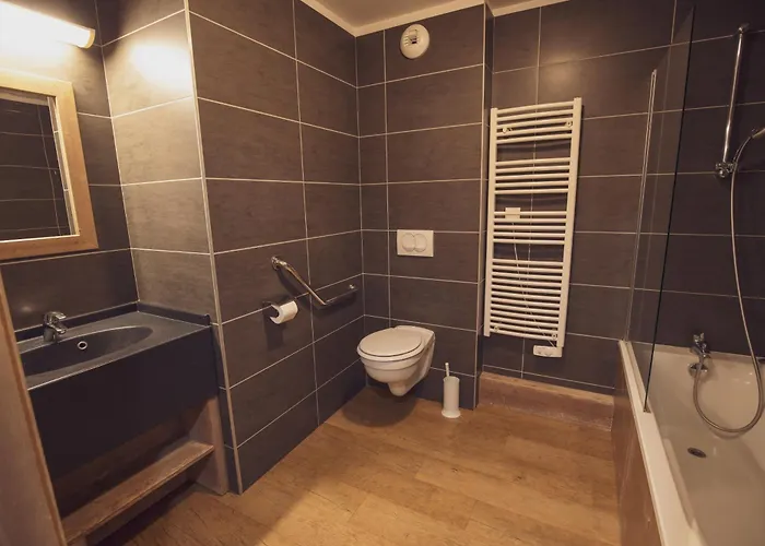 Appart hôtel Résidence Les Grandes Feignes La Bresse