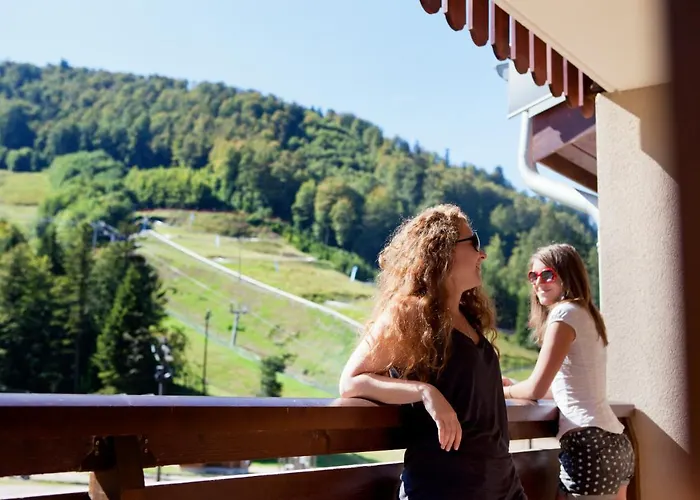 Les Grandes Feignes Labellemontagne La Bresse